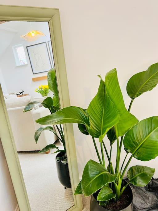 Central Thame Cottage Apartment Thame